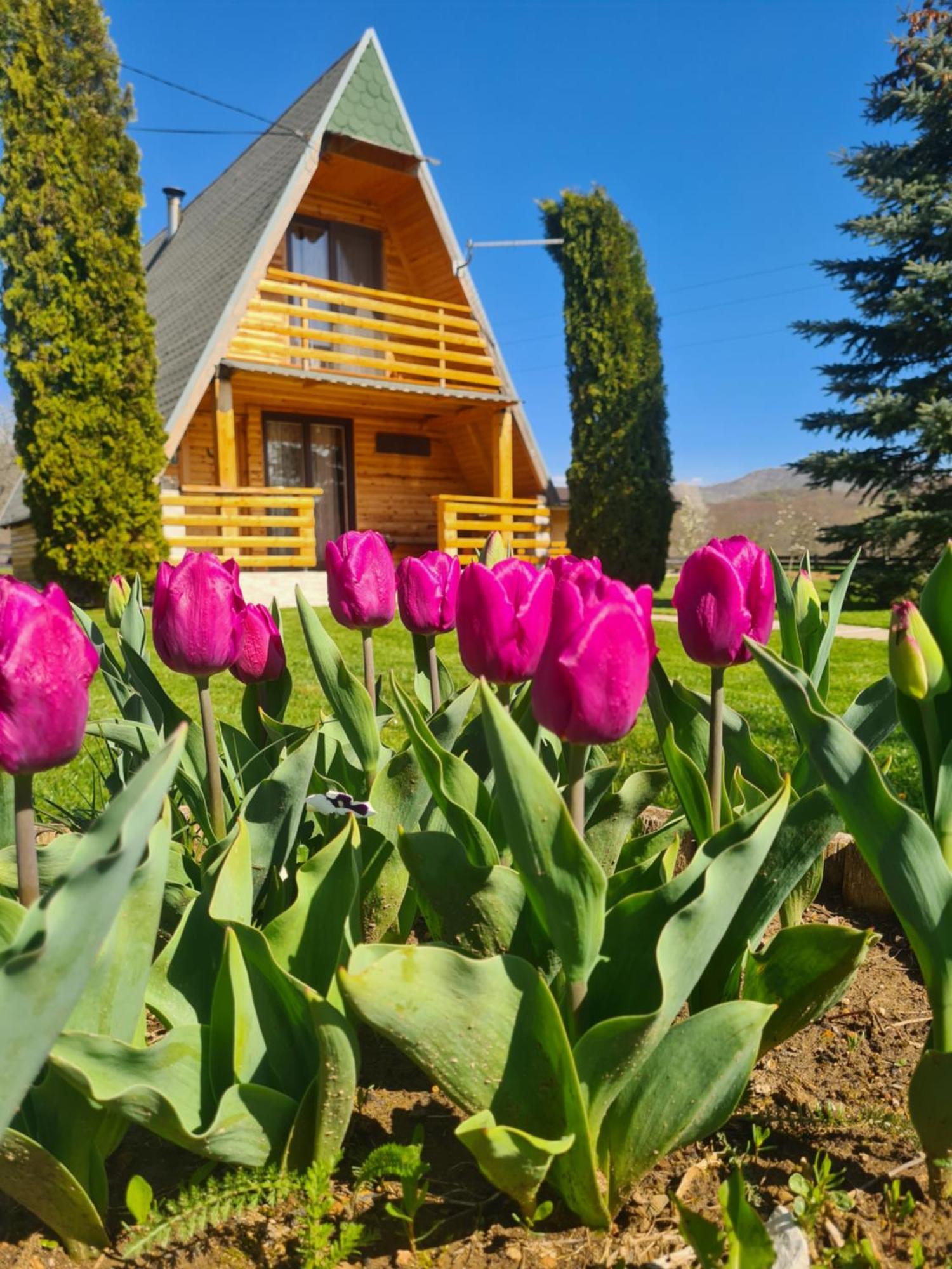 Chalet Velebitska Kuca Velika Plana Exterior foto